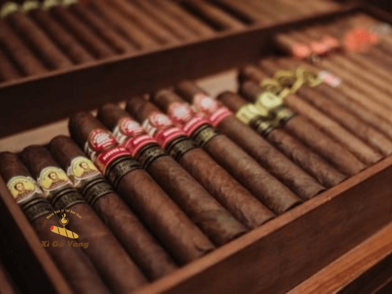 Humidor có hệ thống giữ ẩm chuyên dụng